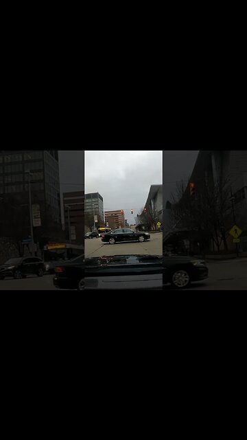 cops getting someone down town