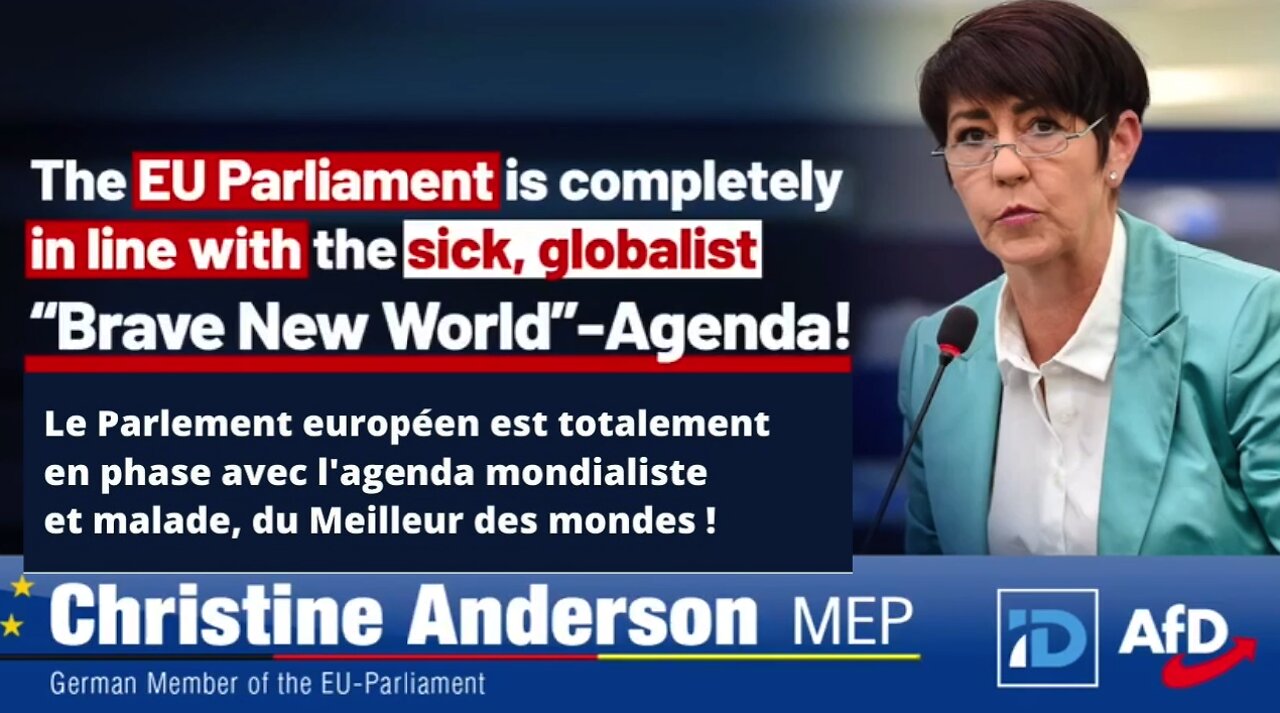 Christine Anderson assomme l'UE pour son mépris des droits de l'homme au nom du mondialisme