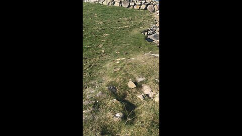 An Old Cottage Ruin Connemara