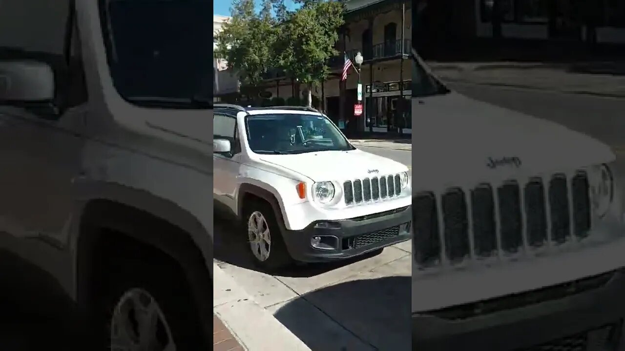 #gangstalking perp walk 11/18/2022 Pt. 2