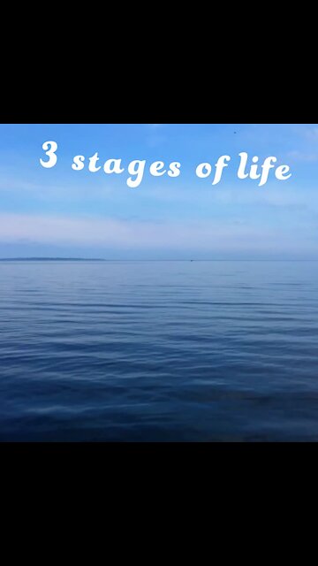 Stages of life [GMG Originals]