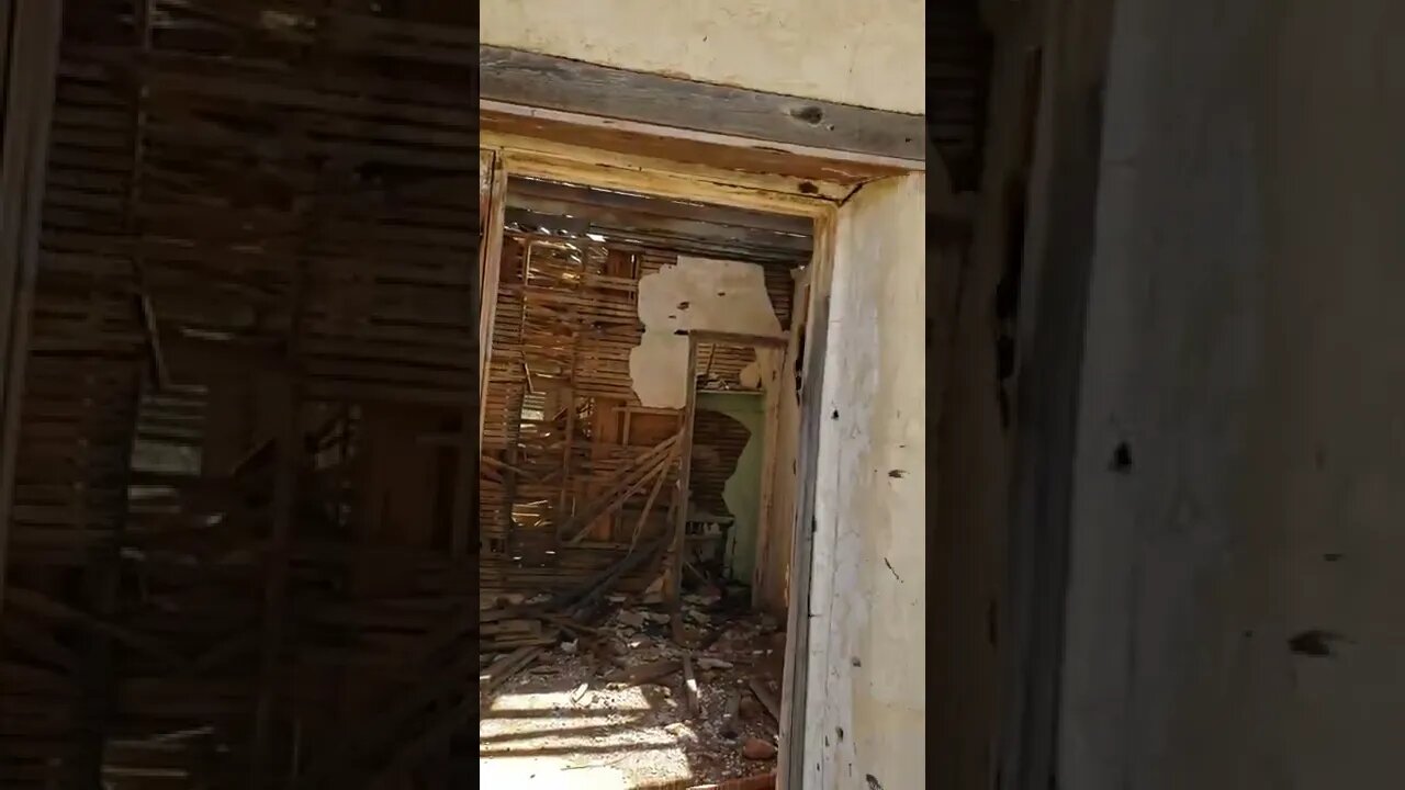 Short - Wasps won't let me abandoned building