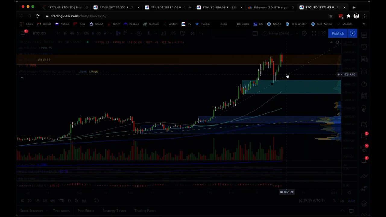 Mr. W's Dec. 1, 2020 TCV Crypto Market Update