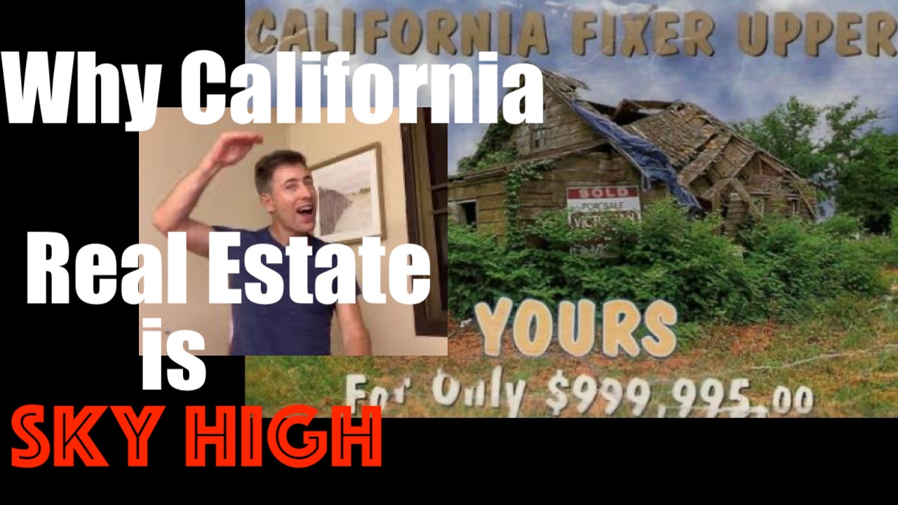 Why CALIFORNIA + Los Angeles Real Estate is So Expensive- ugh!