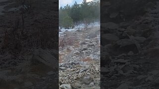 view from the springs +Elk