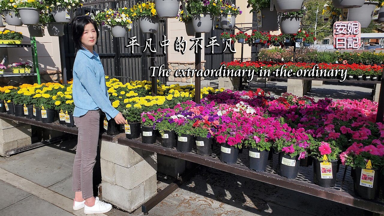 (054)平凡中的不平凡 The extraordinary in the ordinary【安妮日記】