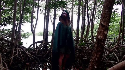 Gran Hechciero - Tiburon Tigre