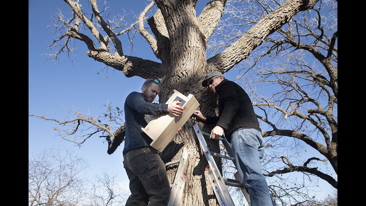 Campus Housing for Flying Squirrels