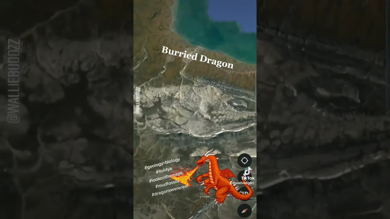 burried dragon