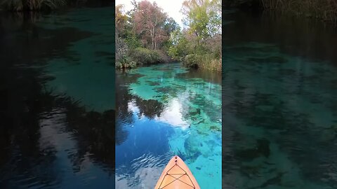 Florida May Be My Favorite Place to Paddle #shorts