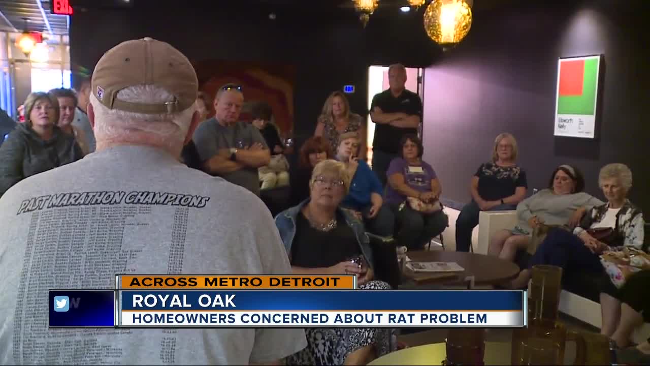 Royal Oak residents concerned over rat problem