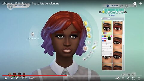 tabbycat__101's Random house lets be valentina 2