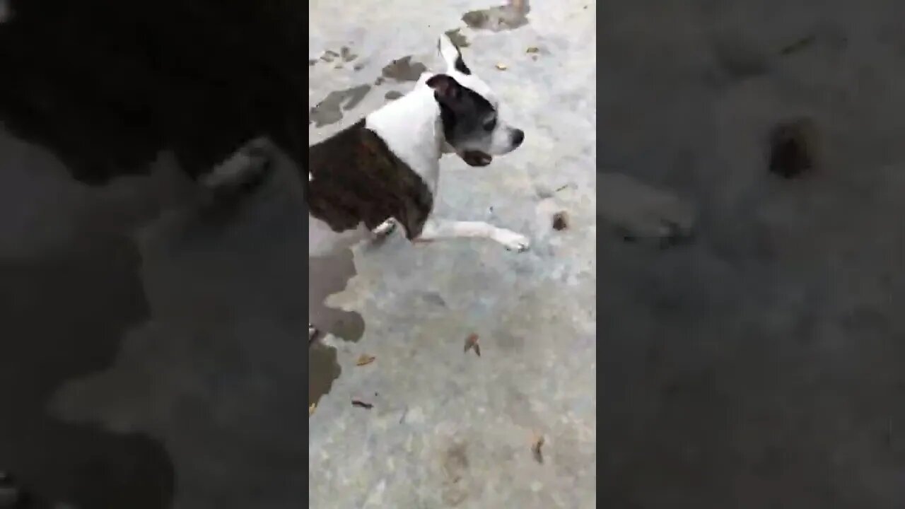 Still showing off even though his body is aging