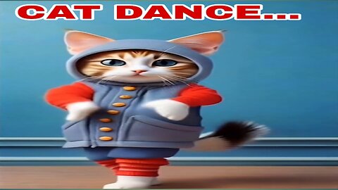 CAT DANCE....