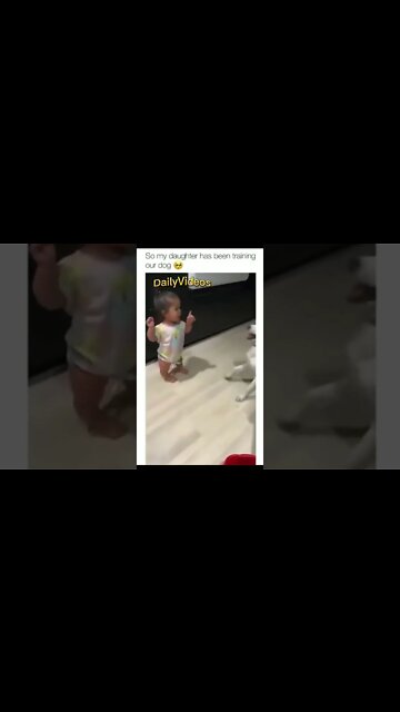 Best Dog Trainer 🐕 😍 #dog #cute