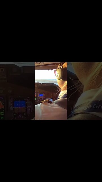 👩🏼‍✈️747 Landing - Very Nice❣️