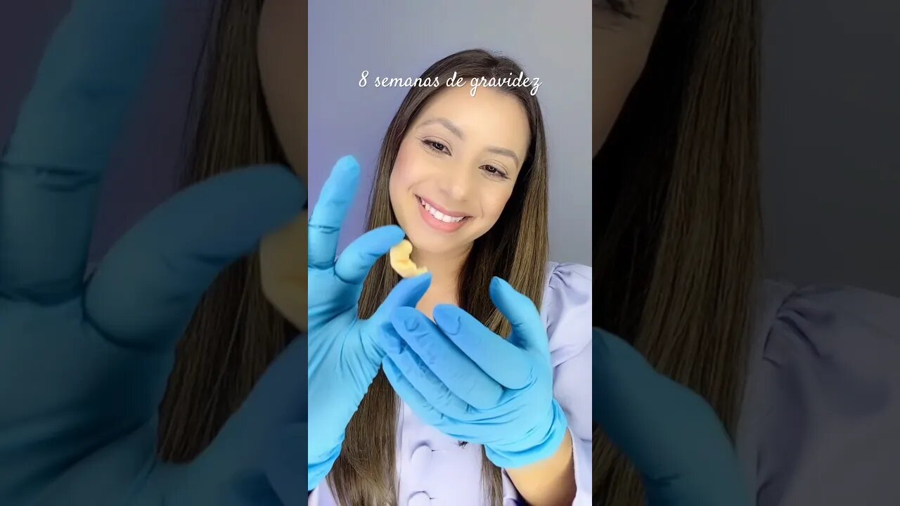 8 Semanas de gravidez