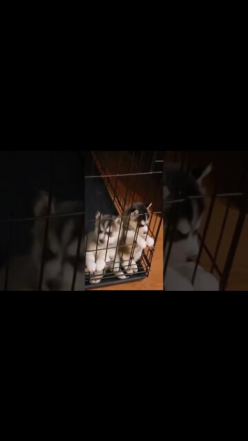 Cute adorable baby child with warm white and pink hat with cute baby girl