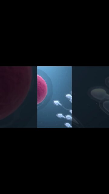 This Mineral 𝗜𝗻𝗰𝗿𝗲𝗮𝘀𝗲𝘀 𝗬𝗼𝘂𝗿 𝗟𝗶𝗯𝗶𝗱𝗼 & Sperm Count