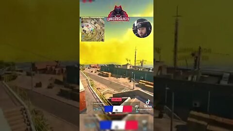 Owen gun on rebirth island