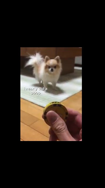 This little guy clearly isn't a fan of lighters