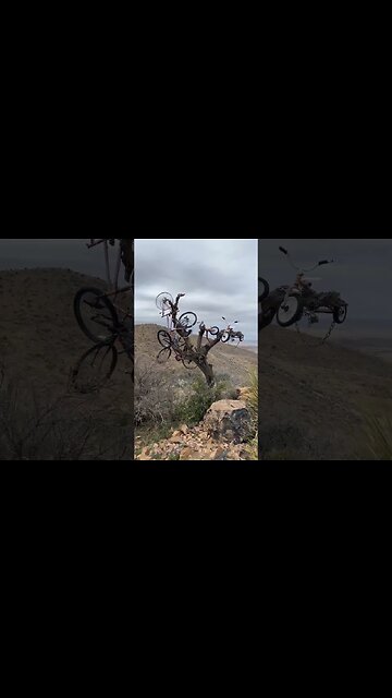 The Desk on Hancock Hill in Alpine, TX