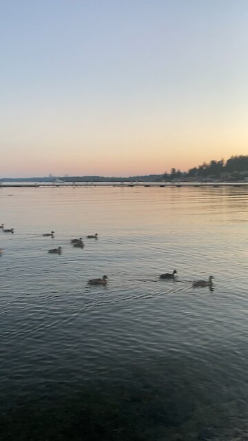 The only place to be in Kirkland, Washington