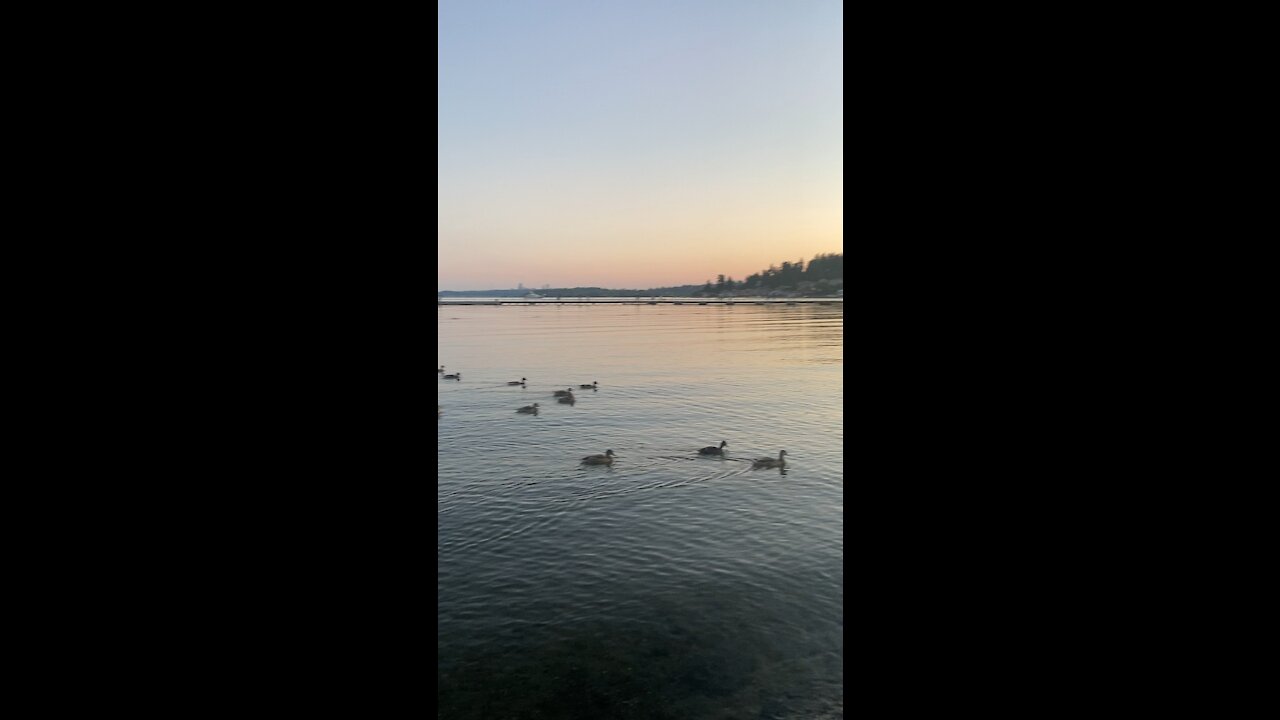 The only place to be in Kirkland, Washington