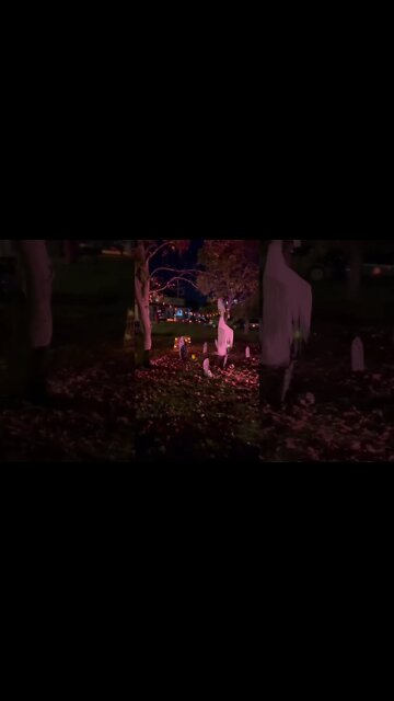 Tall Spooky Scary Skeleton Decoration