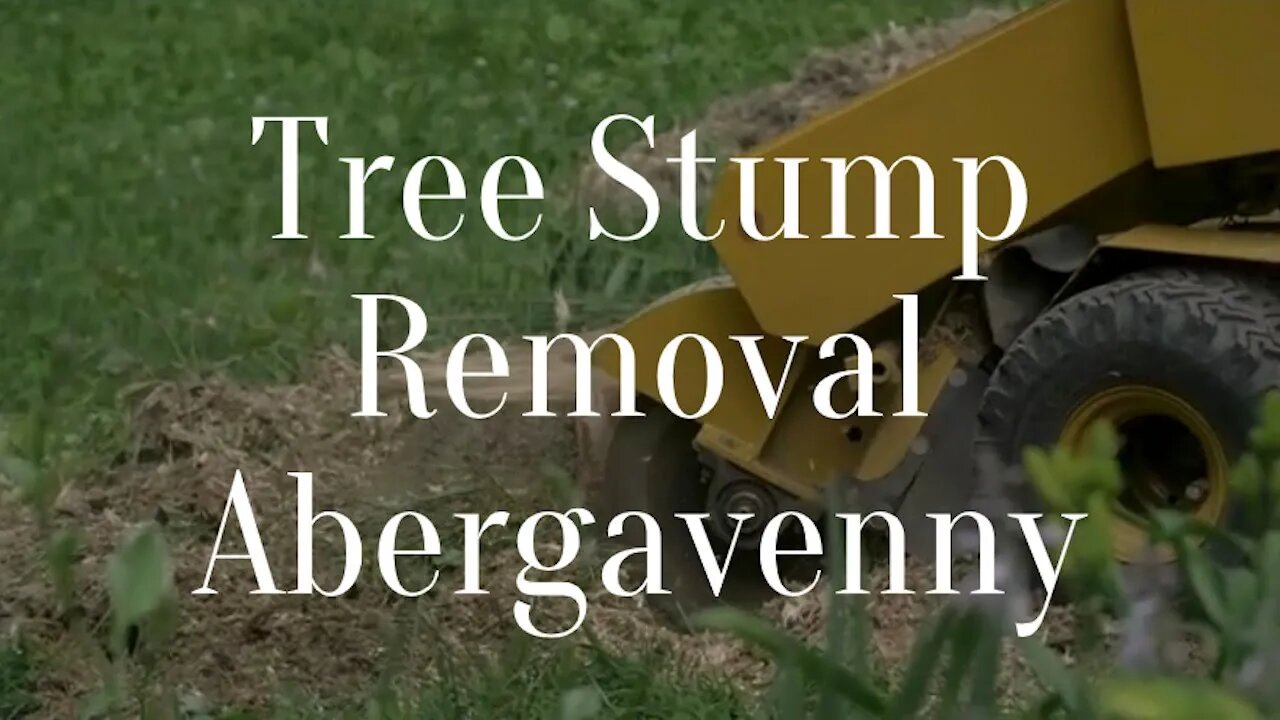 Tree Stump Removal Abergavenny Stump Grinding Services For Residential And Commercial Properties