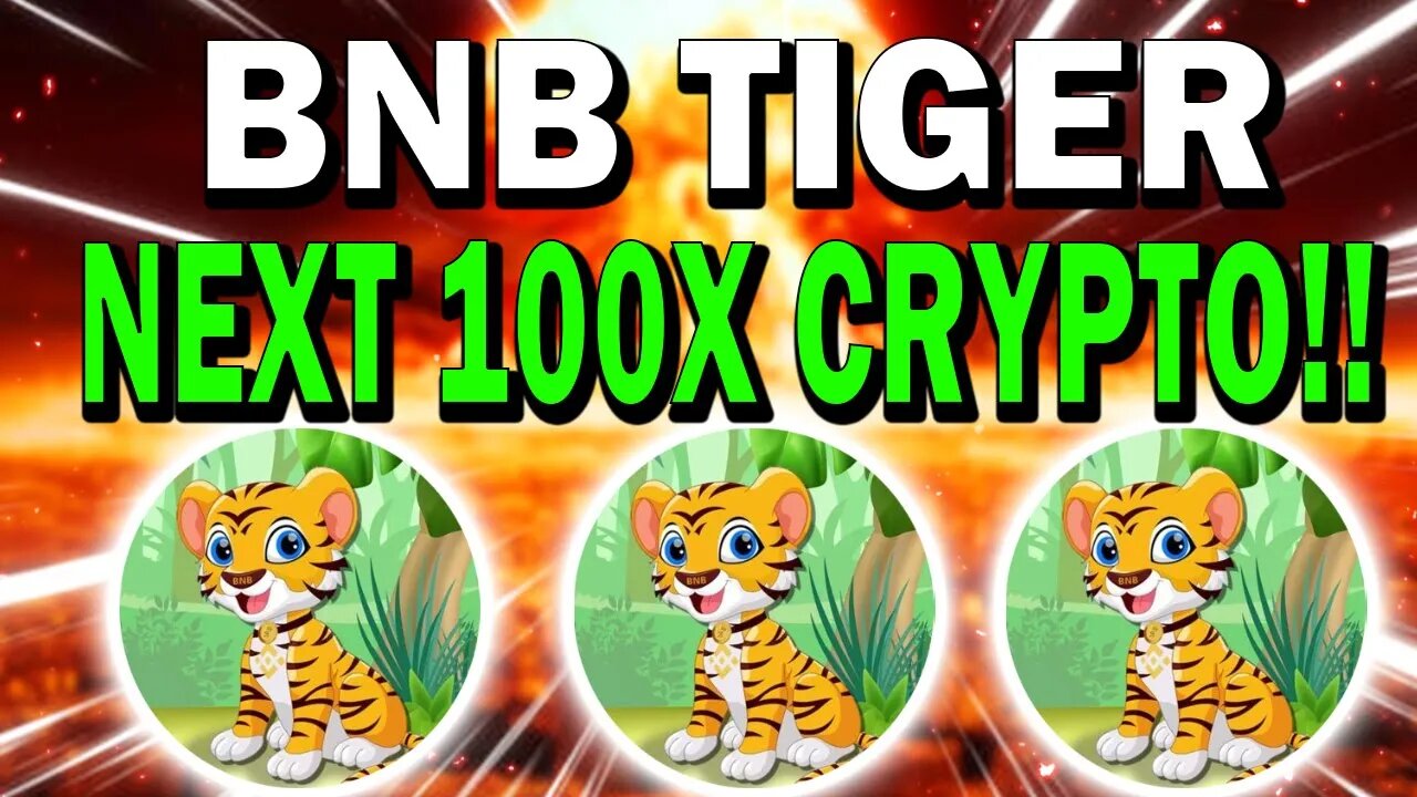 BNB TIGER CRYPTO!! THIS MEMEFI PROJECT HAS 100X POTENTIAL!!