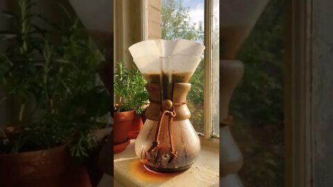 Daily Clip tiktok teagansiobhan