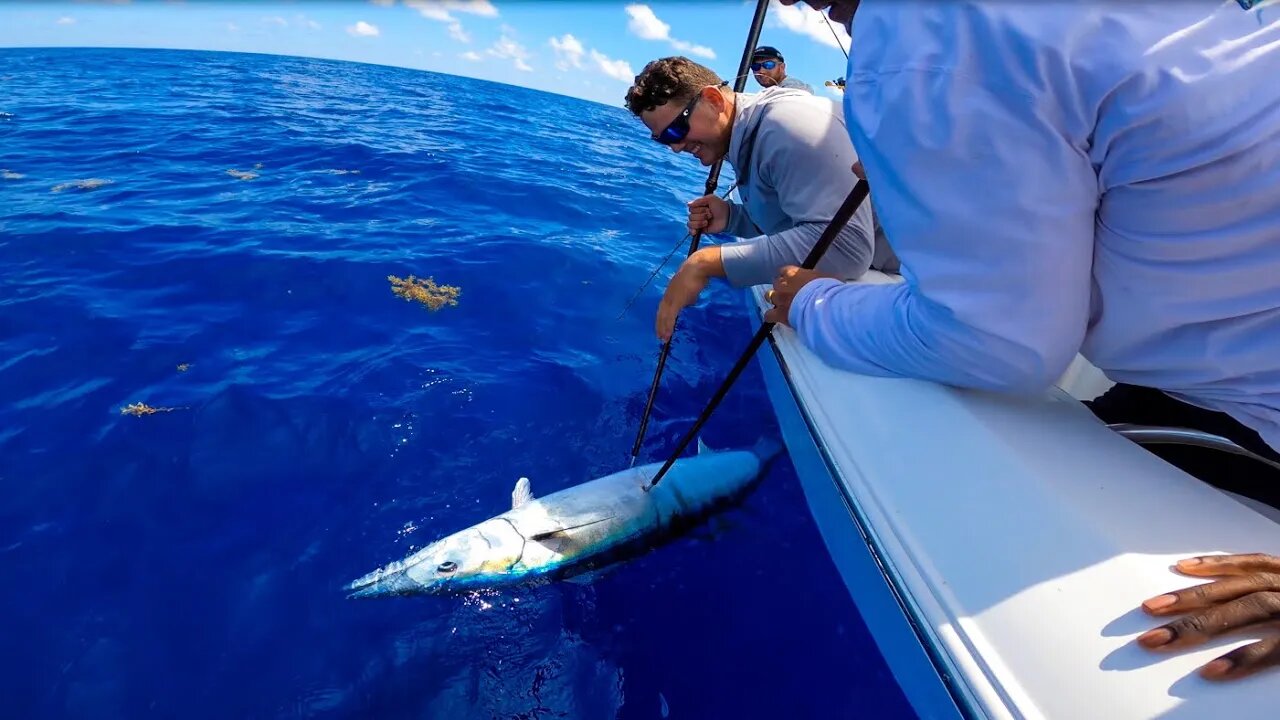 Catching MONSTER Wahoo *130 Miles* offshore while snapper fishing (Pulley Ridge)