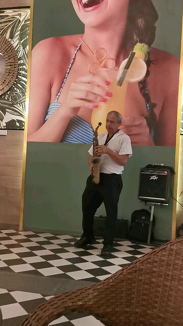 Live Secsafon Performance