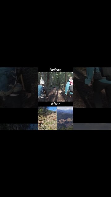 Vancouver Island Logging