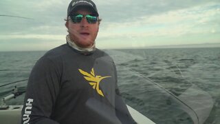 Lake Trout and Salmon in Michigan
