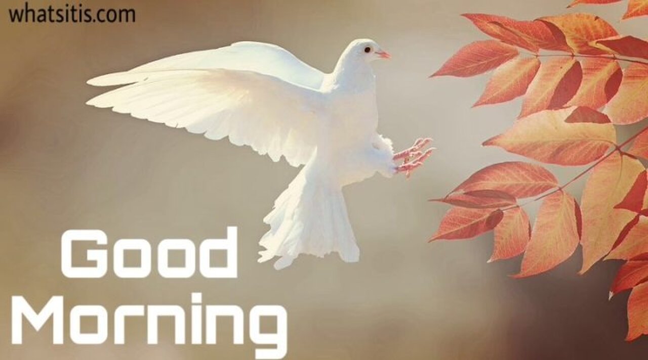Good morning