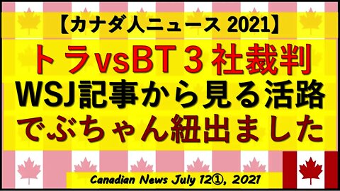 トラvsビッグテック3社裁判 WSJ記事から見る活路 紐－－－－!!!