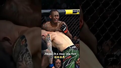 ISRAEL IS 😹😹😹😹 #shorts #mma #viral #youtubeshorts #trending #funny #lol #lol #subscribe #troll