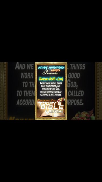 11.04.2022 | STORM MINISTRIES | Daily Bible Verse | ROMANS 8:28 (KJB) | #shorts