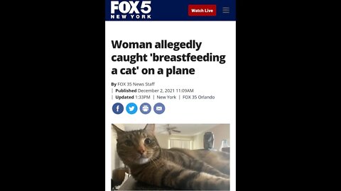 Woman Caught Breastfeeding Cat On A Plane Paranormal News