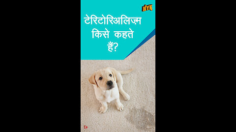 क्यो कुछ जानवर आपके घर मे ही पेशाब करते है ? *