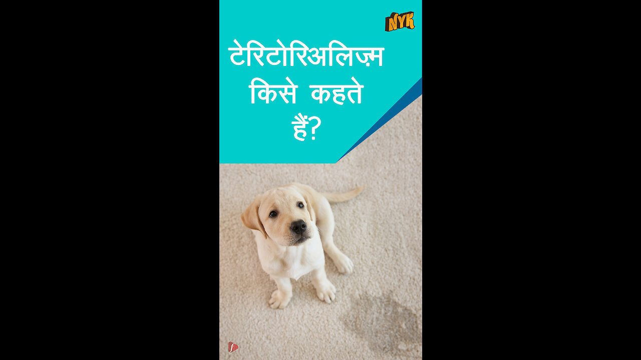 क्यो कुछ जानवर आपके घर मे ही पेशाब करते है ? *