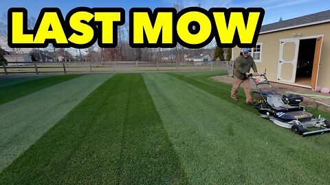 Last Mow Tall Fescue and Kentucky Bluegrass FUNGUS in the WINTER