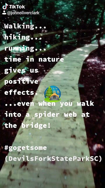 Devils Fork State Park boardwalk bridge web