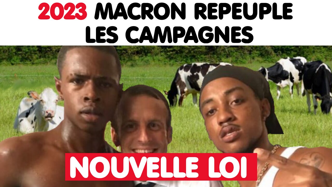 En France on n’a pas de pétrole, mais on a … des migrants. (20 sept. 2022)