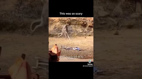 This is so funny 😂 #youtubeshorts #shorts