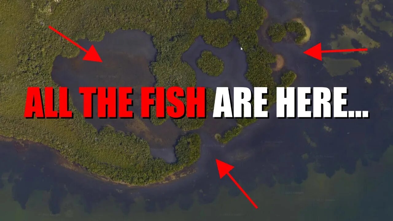 What the PERFECT Fishing Spot looks like - ( Google Maps )