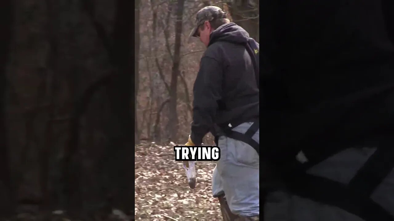 Don't skip the SOIL TEST #deer #deerhunting #biology #foodplot #shorts