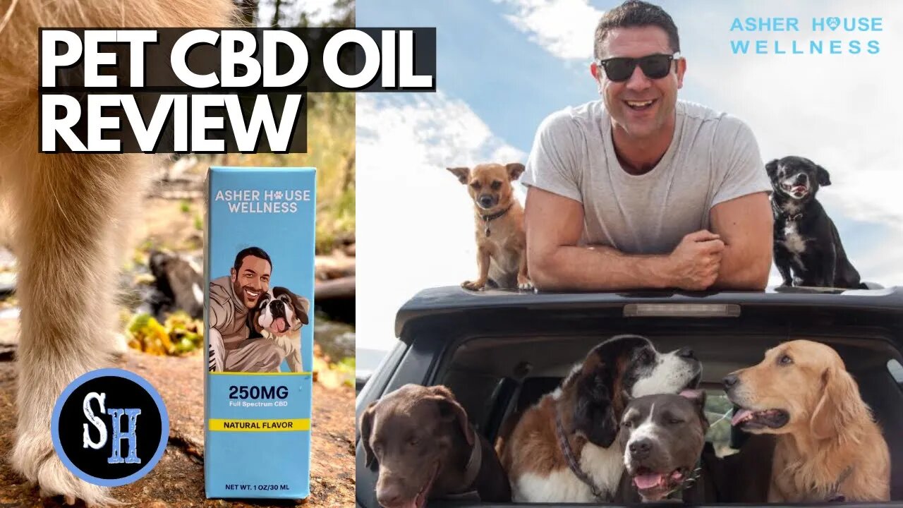 CBD Oil For Dogs Review - Asher House Wellness Pet CBD Oil - Screen Hoopla Sponsor
